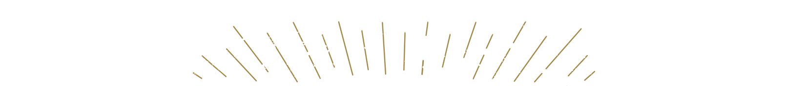 The Willett Arms Country Pub & Restaurant in Wimborne